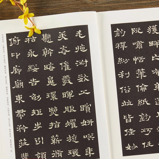 Multiple Styles Calligraphy Copybooks Chinese Thousand