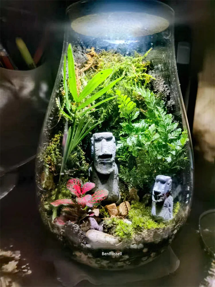 Water Droplets Shape Glass Jars Micro Landscape Ecological