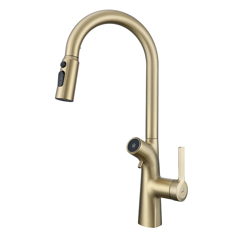Vgx Gold Water Filter Faucet Dual Spout Pure