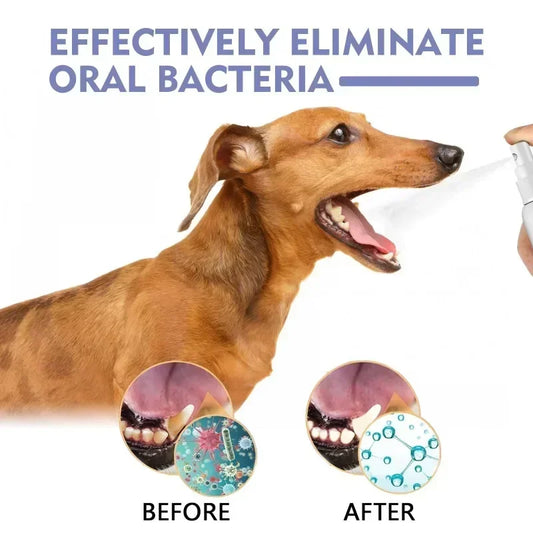 Pet Teeth Cleaning Spray Oral Care Remove Tooth
