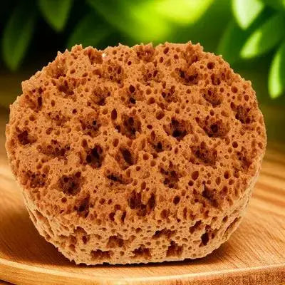Sea Sponge Painting Comfortable Reusable Sponge Blending Art