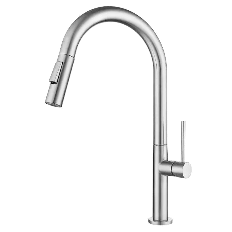 Oxg 304 Stainless Steel Lead-Free Faucet Pull-Out Sprayer