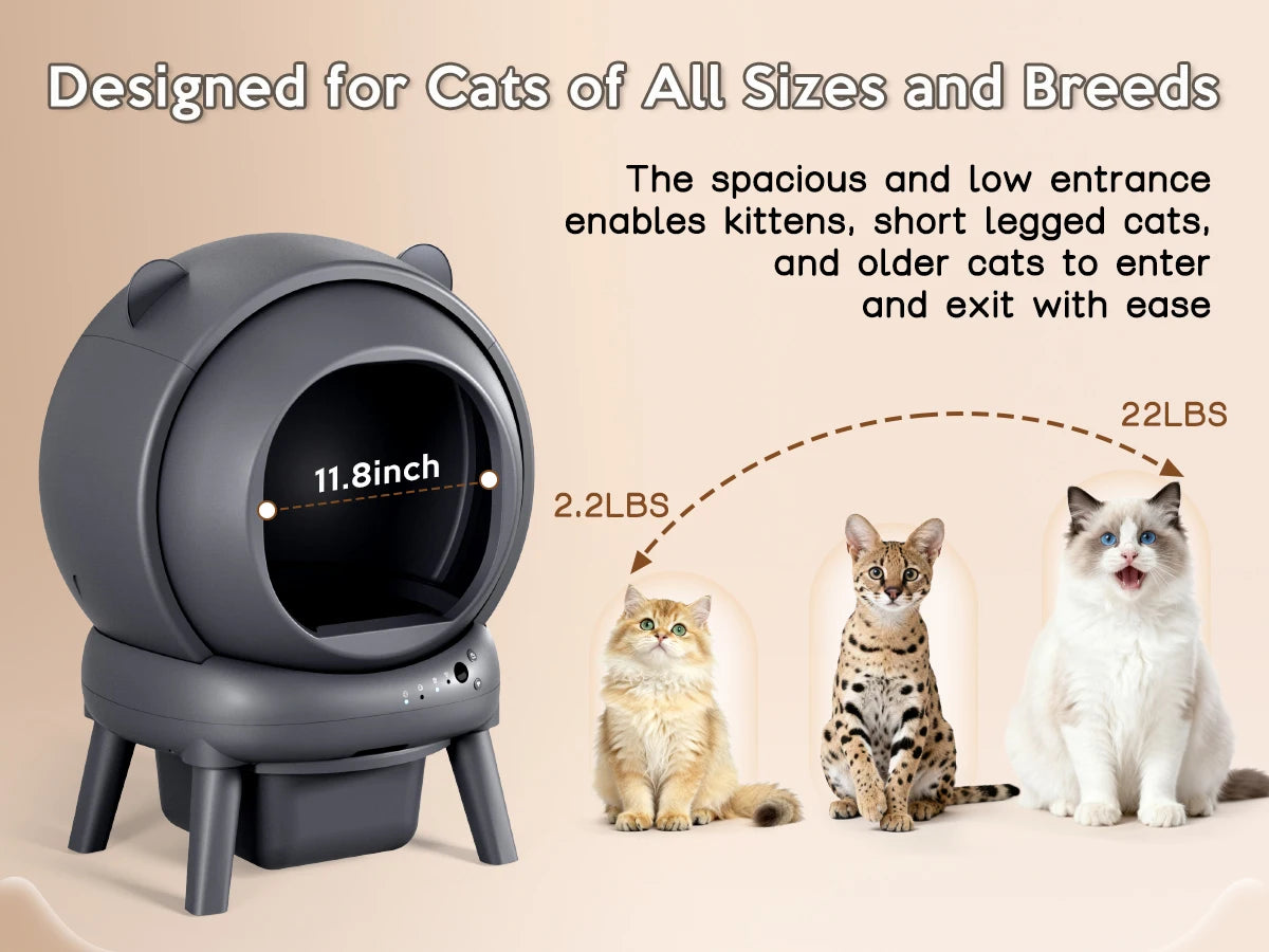 Cumridge Self-Cleaning Litter Box Is High-Performance Hygienic