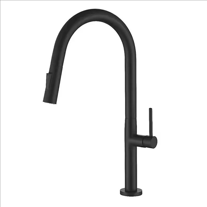 Oxg 304 Stainless Steel Lead-Free Faucet Pull-Out Sprayer