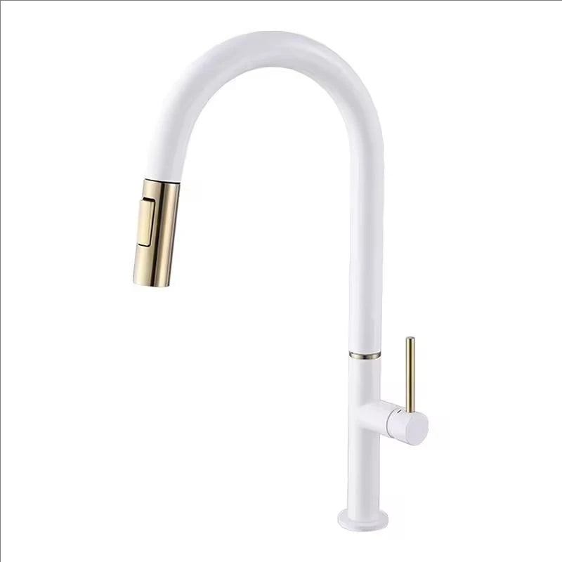 Oxg 304 Stainless Steel Lead-Free Faucet Pull-Out Sprayer