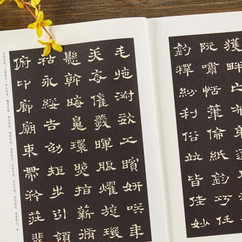 Multiple Styles Calligraphy Copybooks Chinese Thousand