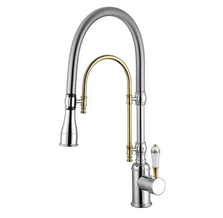 Faucet Pull Out 360 Degree Multi-Function Spring Pull