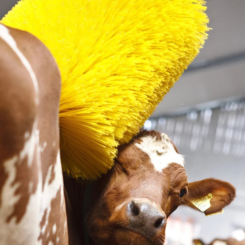 Farm Cow Brush Motor To Cleaning Massage