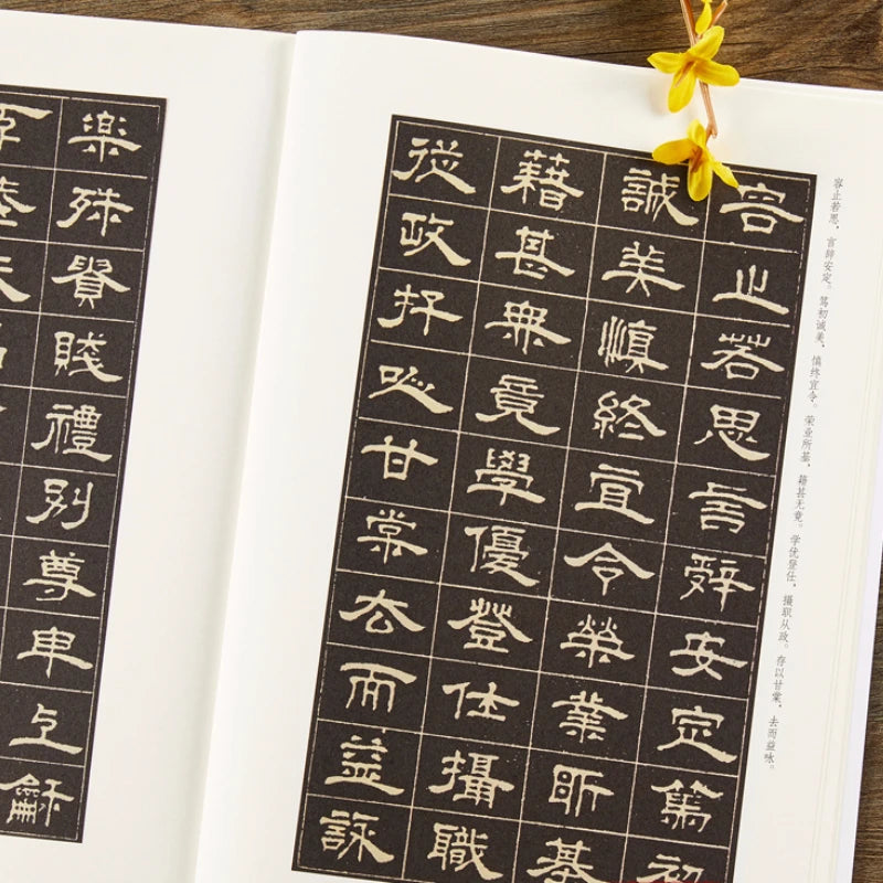 Multiple Styles Calligraphy Copybooks Chinese Thousand