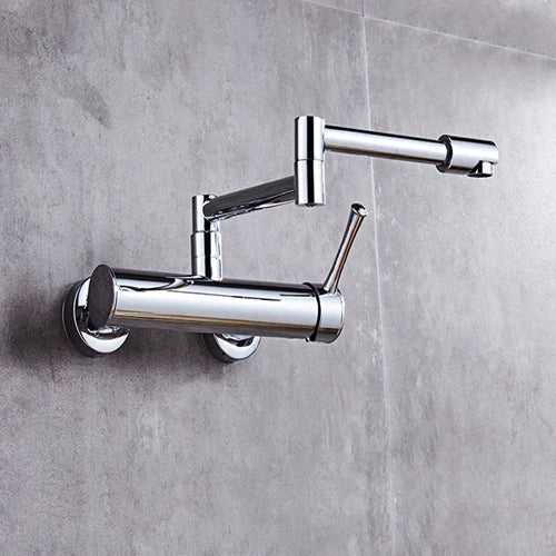 Samoel Brass Black Wall Mounted Dual Hole Foldable