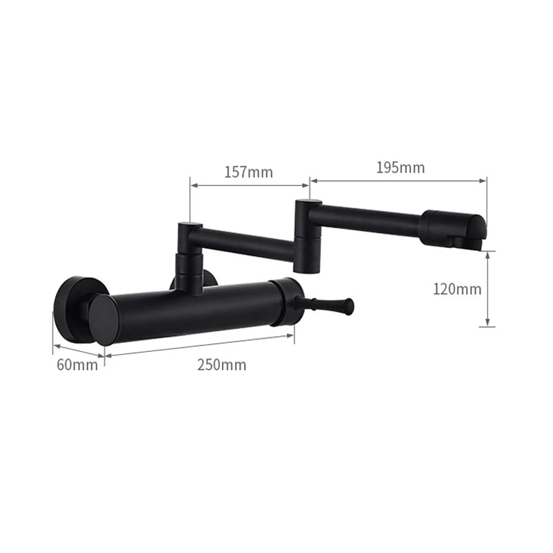 Samoel Brass Black Wall Mounted Dual Hole Foldable