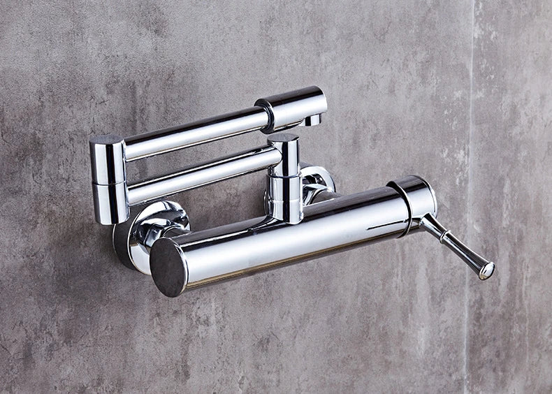 Samoel Brass Black Wall Mounted Dual Hole Foldable