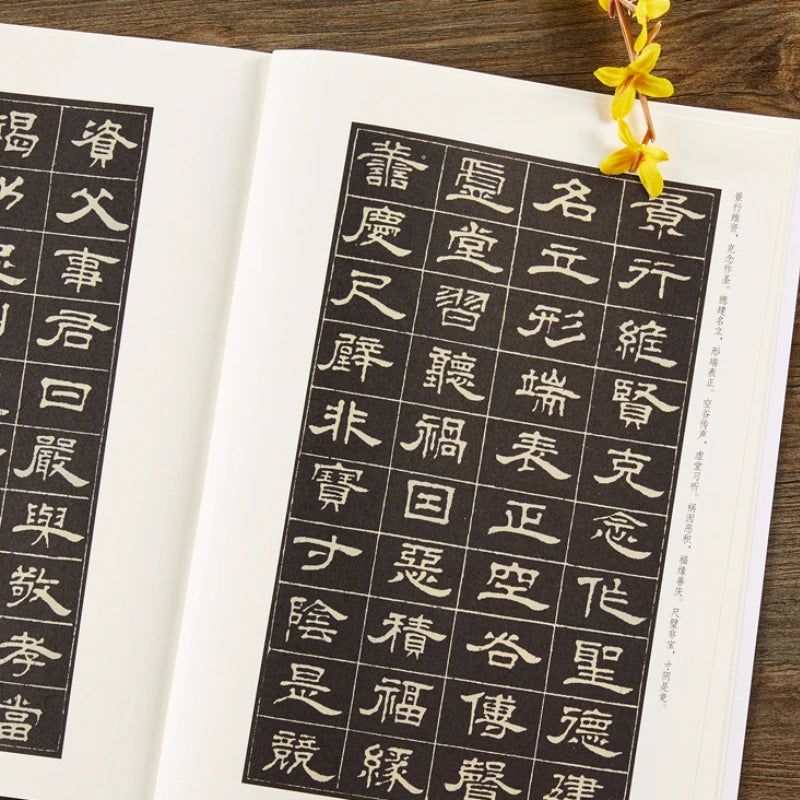 Multiple Styles Calligraphy Copybooks Chinese Thousand