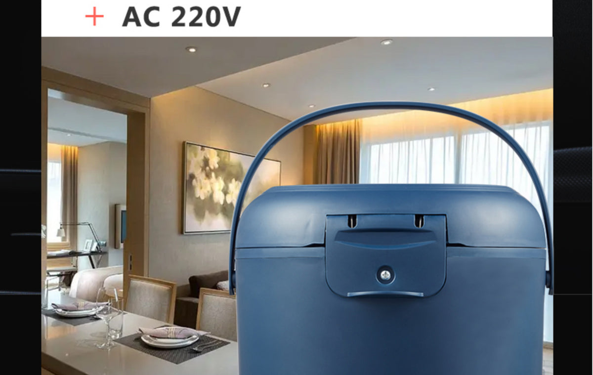 12v 24v 110v 220v 2l Four Voltage Car