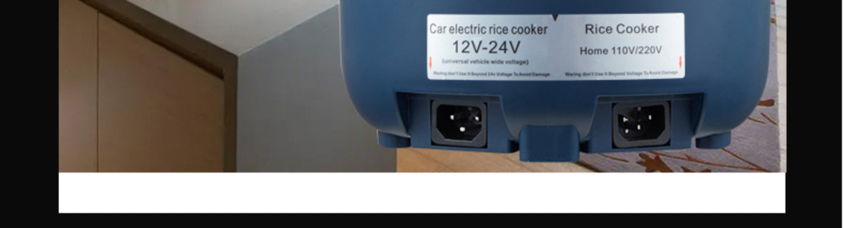 12v 24v 110v 220v 2l Four Voltage Car