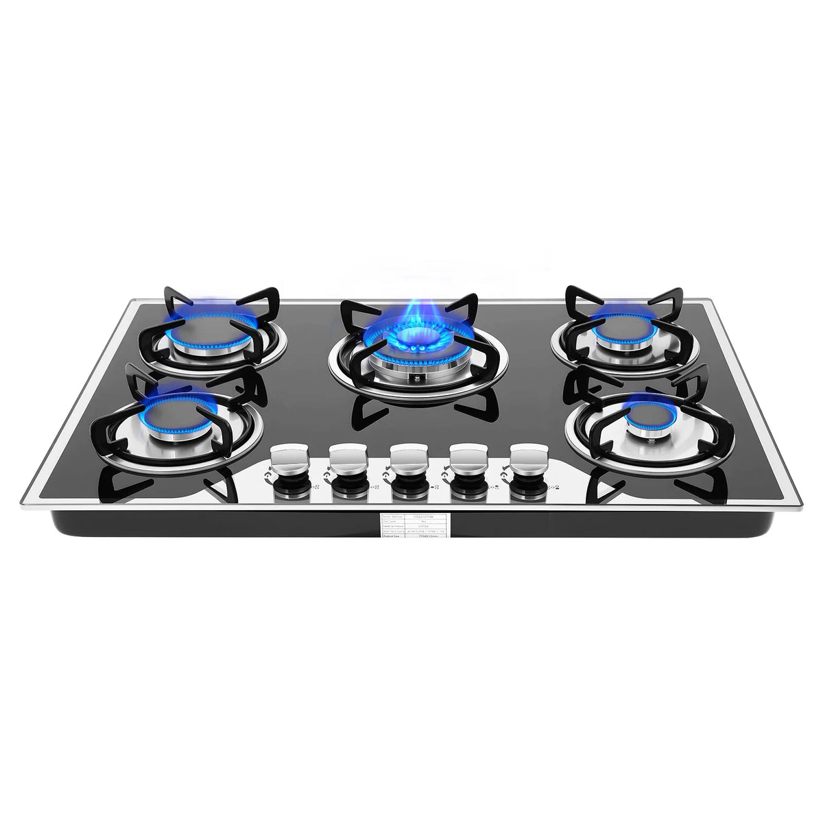 Burners Built-In Gas Stove Dual Fuel Ng/Lpg Convertible