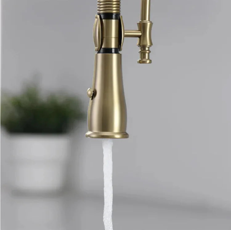 Faucet Pull Out 360 Degree Multi-Function Spring Pull