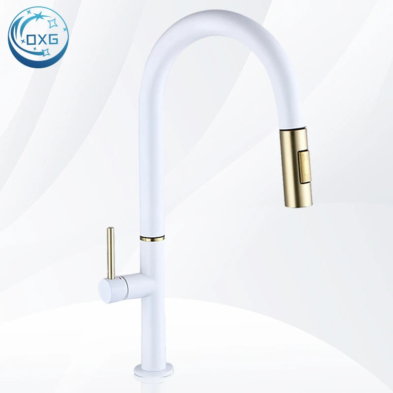 Oxg 304 Stainless Steel Lead-Free Faucet Pull-Out Sprayer
