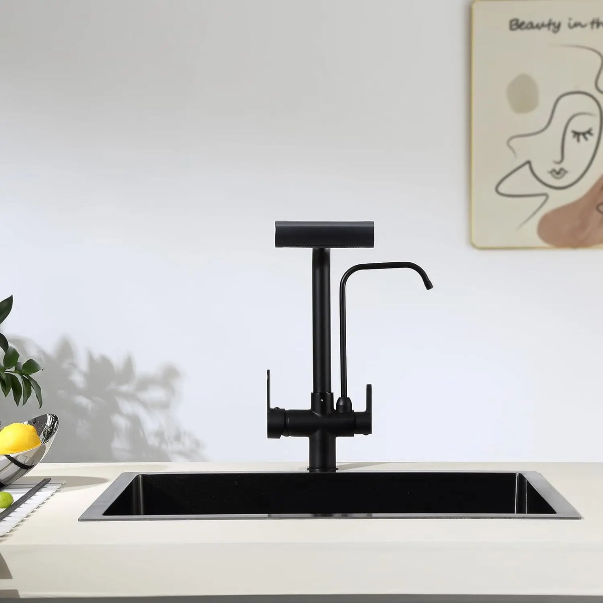 Way Pure Water Filter Faucets Black Pull Out