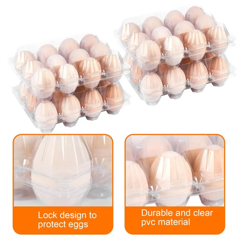 50pcs Egg Holder Plastic Cartons 12 Count Reusable
