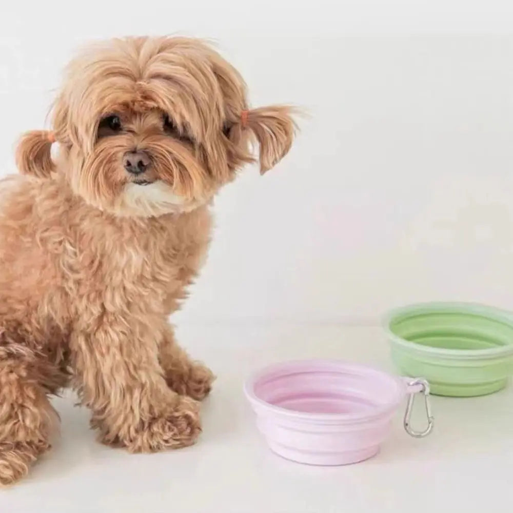 Collapsible Dog Bowl Multipurpose 350ml Large Capacity Puppy