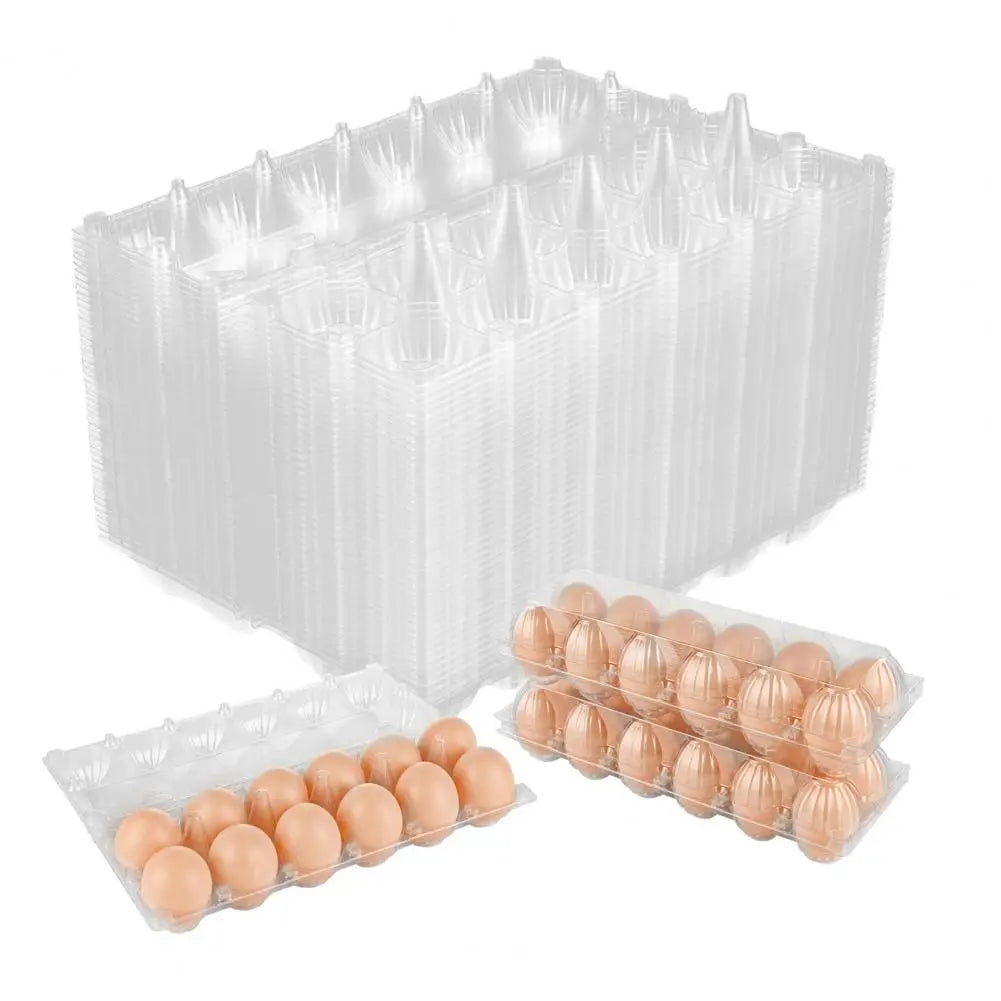 50pcs Egg Holder Plastic Cartons 12 Count Reusable