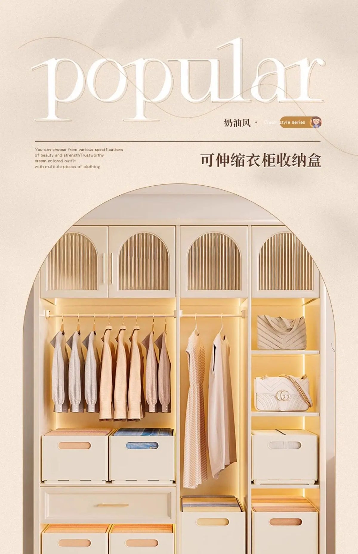 Adjustable Clothes Storage Box Closet Organizer Categorized