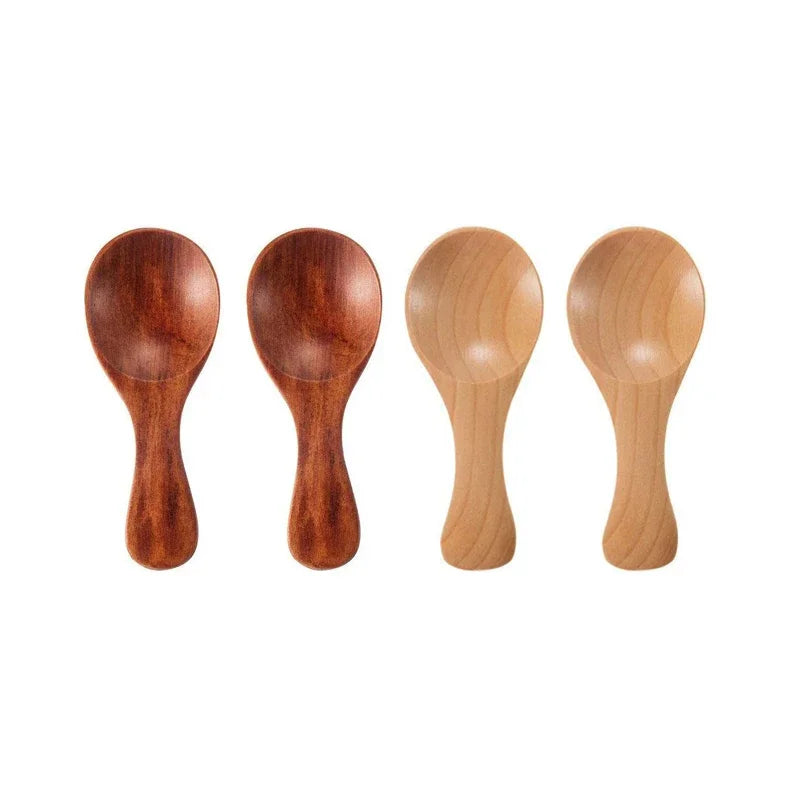 4pcs Mini Wooden Spoons Small Spice Condiment Spoon