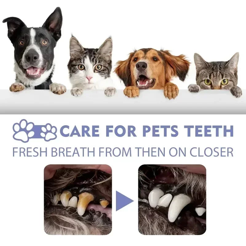 Pet Oral Care Spray Dogs Daily Teeth Cleaning