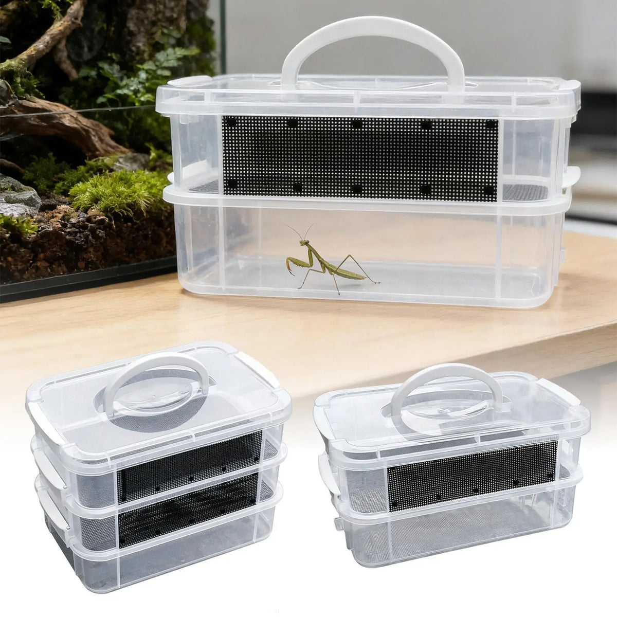 Mealworm Farm 2/3 Layer Clear Mesh Breeder Bin