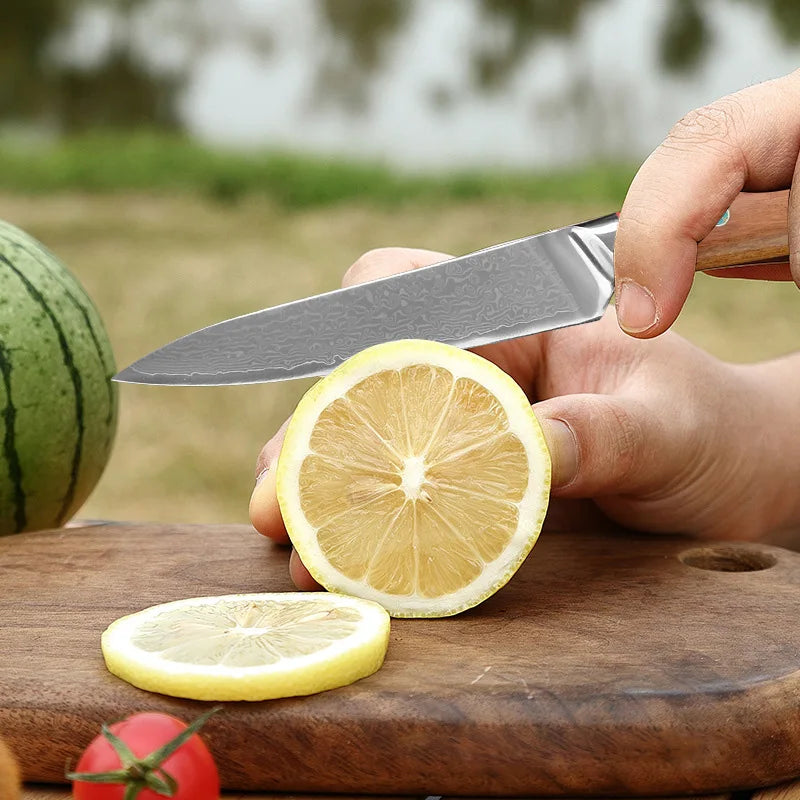 Damascus Steel Professional Chef Knife Super Sharp Cutting