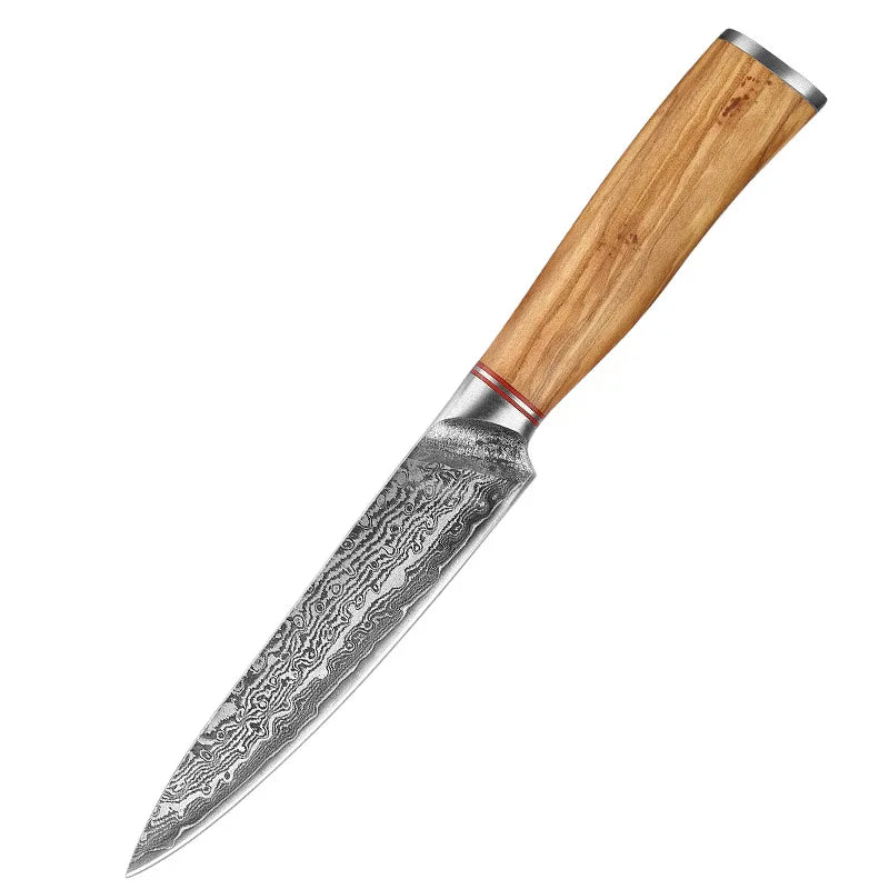 Damascus Steel Knife 67 Layer Slicing Knife Meat