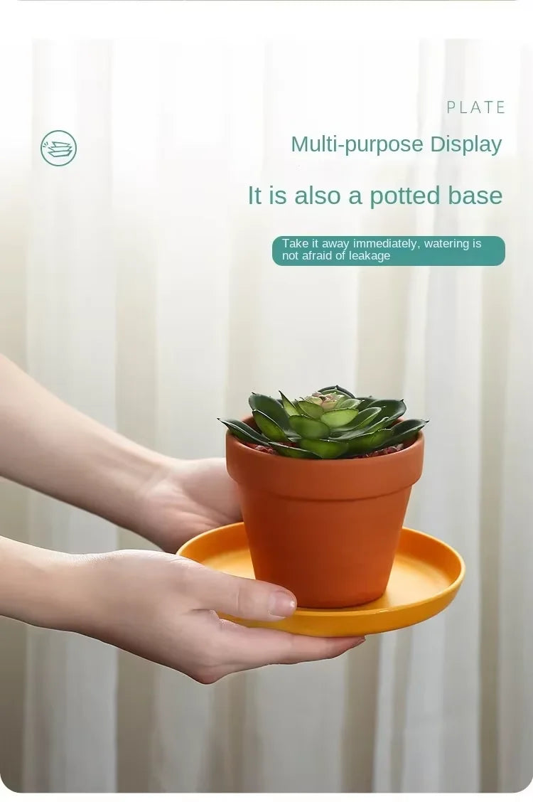-Selling Plastic Bone-Spitting Dish Elegant & Practical Serving
