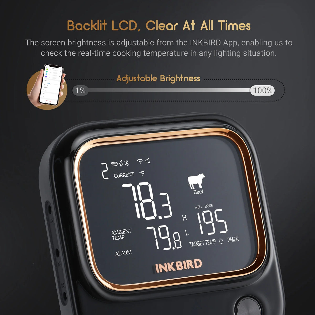 Inkbird Ibt-26s Wireless Meat Thermometer Wifi Digital Grill