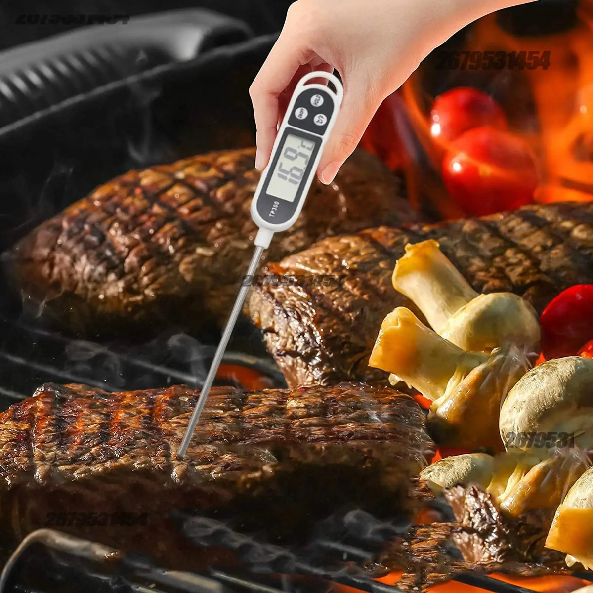 Thermometer Cooking Digital Temperature Measuringtool Meat