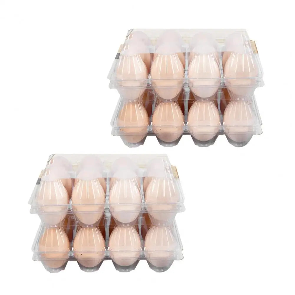 50pcs Egg Holder Plastic Cartons 12 Count Reusable