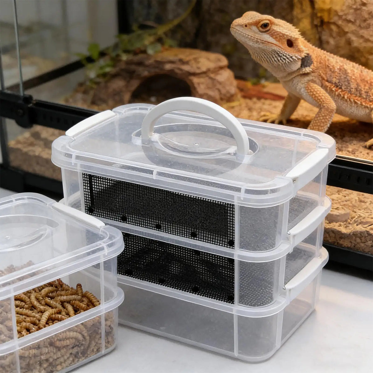 Mealworm Farm 2/3 Layer Clear Mesh Breeder Bin