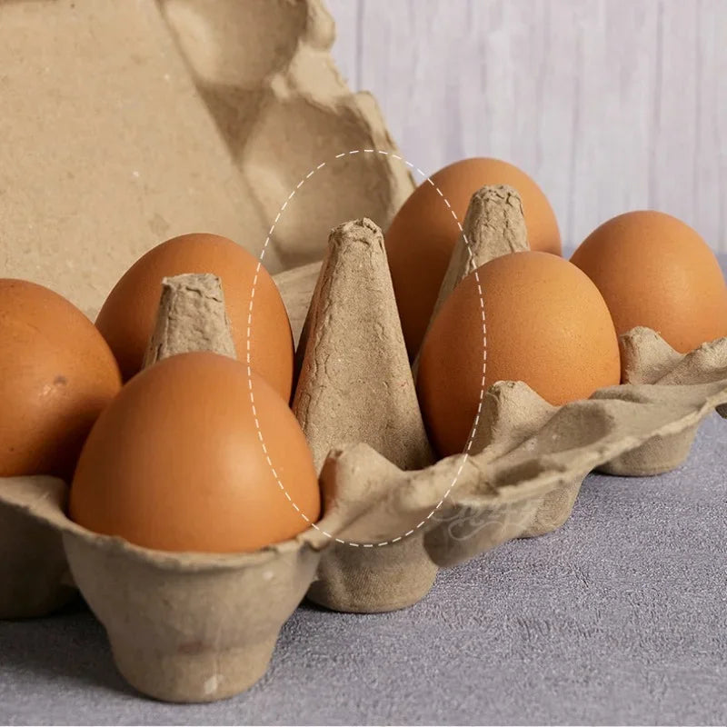 Grids Egg Packaging Box Pulp Material Egg Box