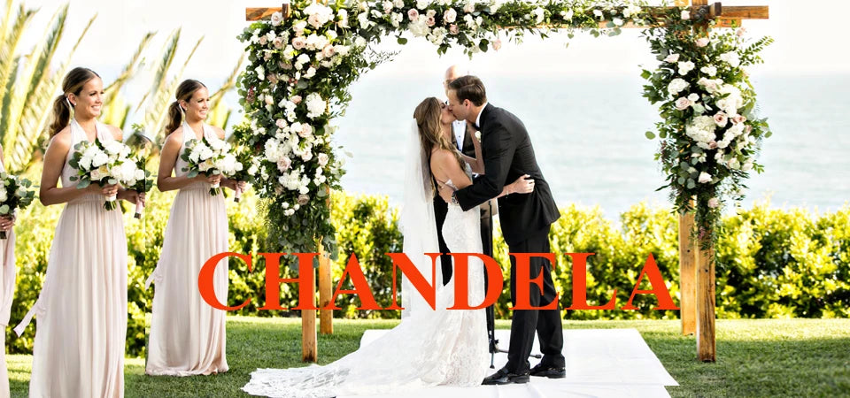 Chandela Fairytale V-Neckline Wedding Dress Bridal Lace Appliques