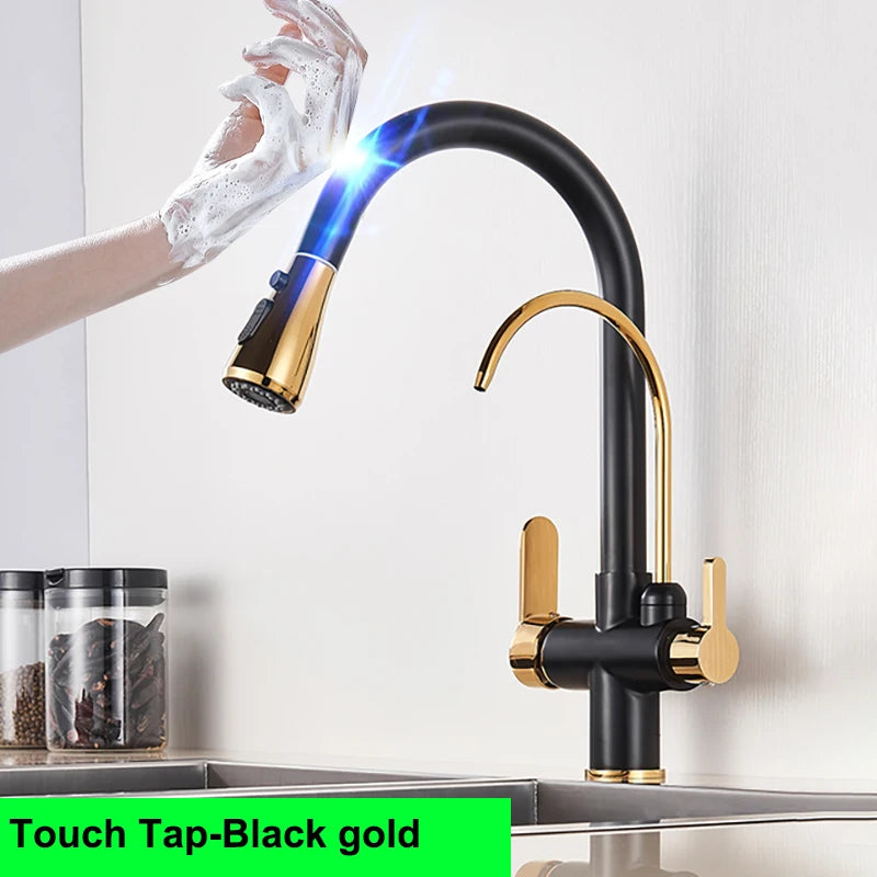 Antique Touch On Filter Sink Faucets Ways Pure
