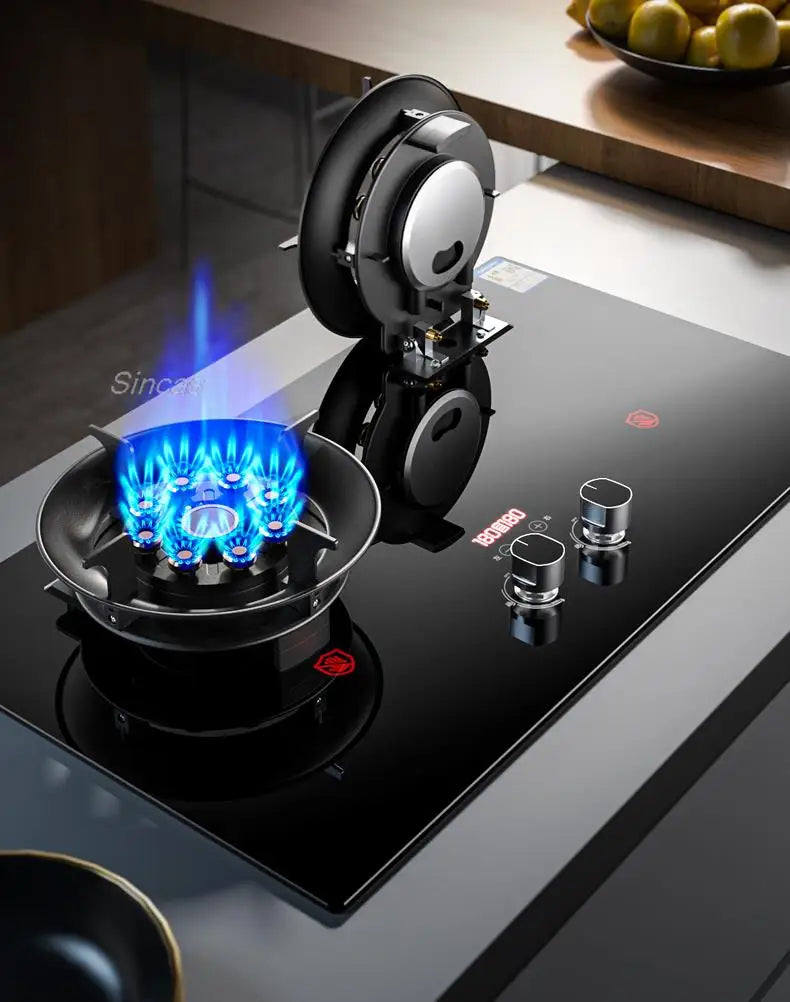 Gas Stoves Dual Stove Embedded Nature Gas/Lpg Timing