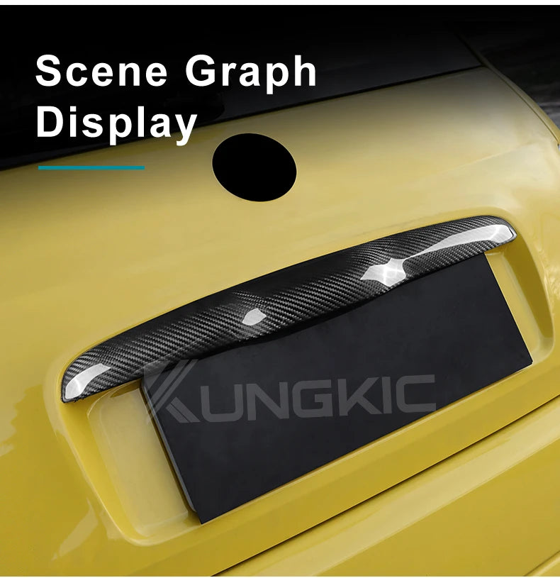 Real Hard Carbon Fiber Sticker Fiat 500 08-23
