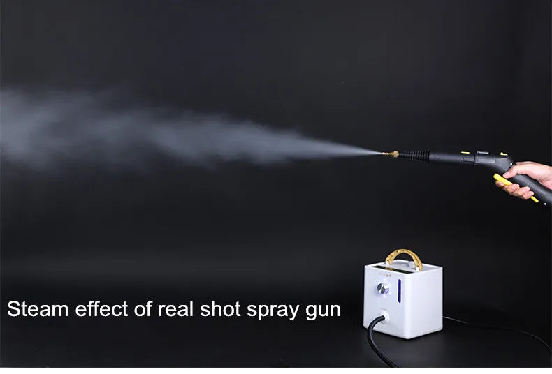2600w Steam Cleaner Steamer Steam High Pressure Cleaner