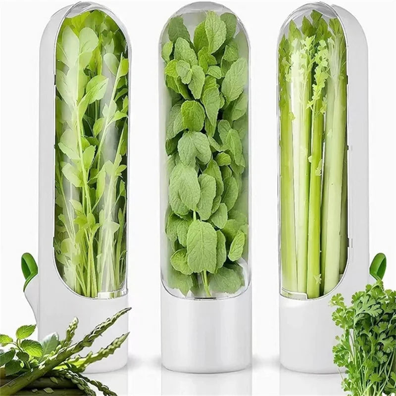 1/2/3pcs Green Fresh Herb Keeper Vanilla Vegetables Fresh
