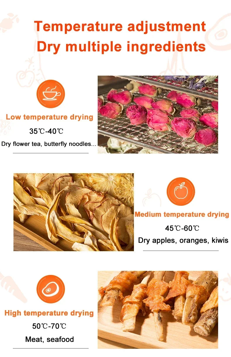 6/8/12/18 Layers Food Dehydrator Fruit Timing Temperature Air