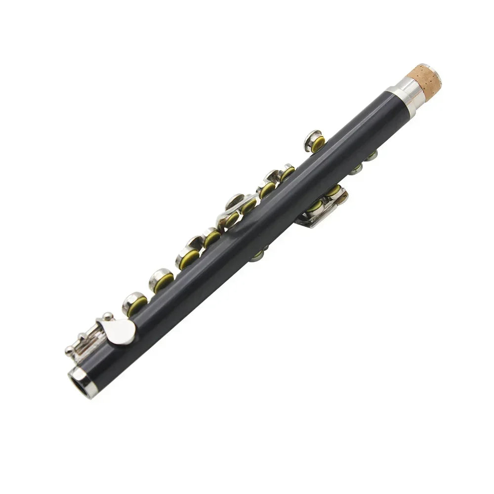 Black Silver Piccolo Professional Key Piccolo Padded Case