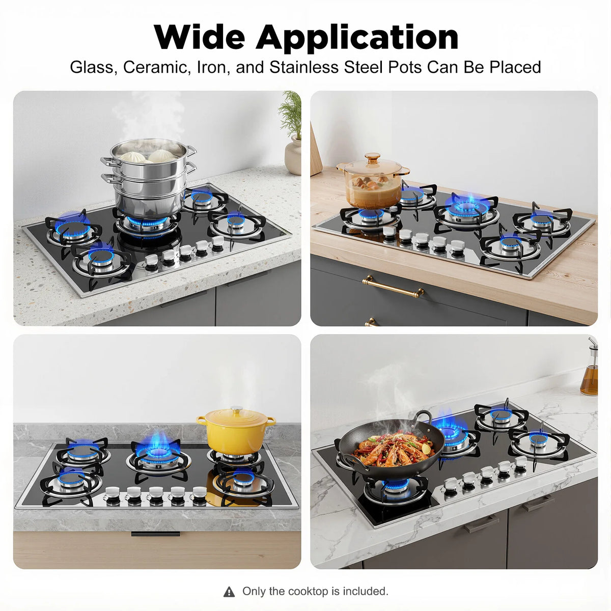 Burners Built-In Gas Stove Dual Fuel Ng/Lpg Convertible