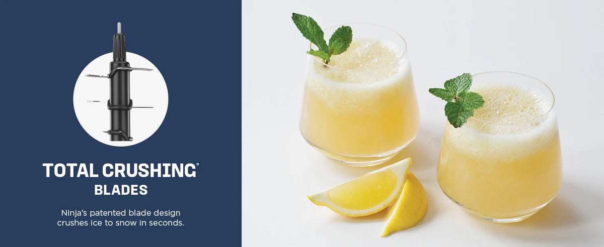 Multi-Functional Food Processor/Blender Making Smoothies