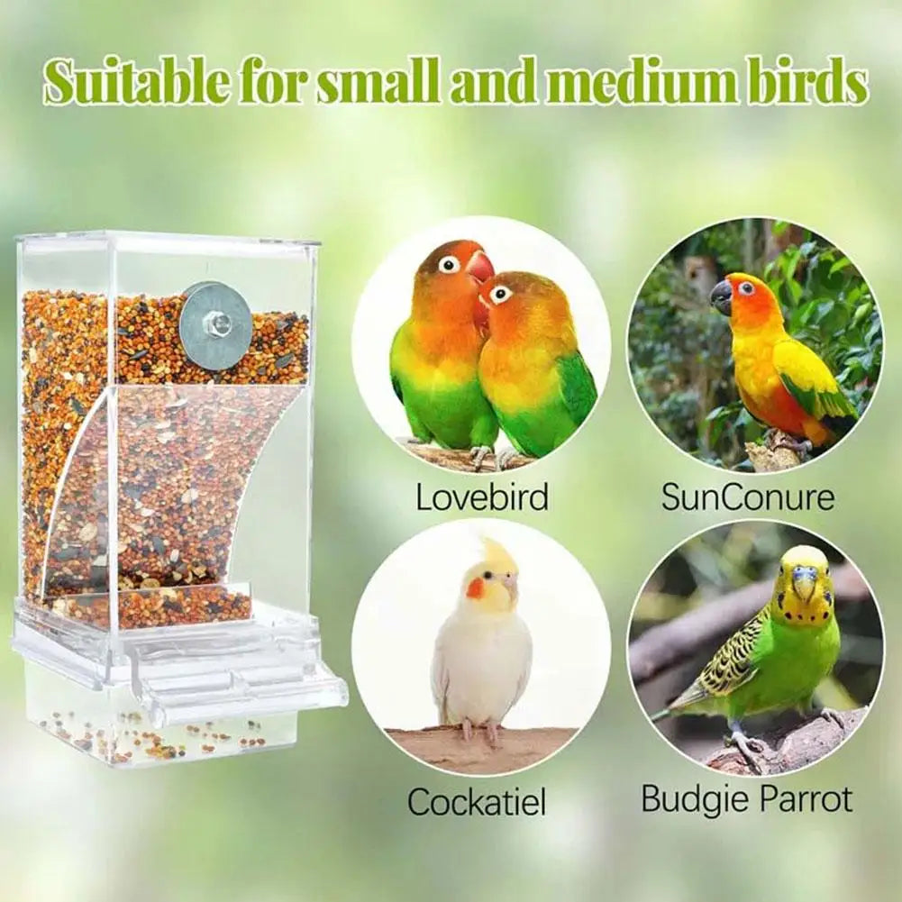 Clear Bird Feeding Device Anti-Waste Gravity Auto-Flow Station
