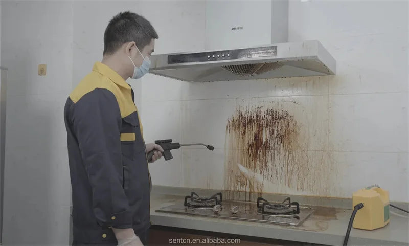 High Pressure Steam Cleaner Handheld Cleaning Machine Air